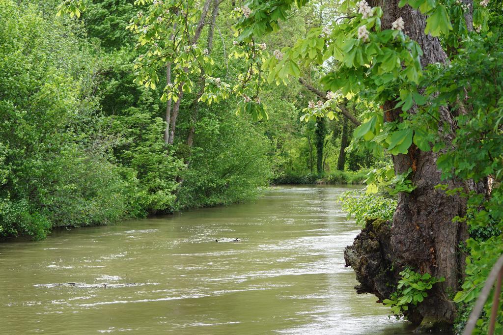 Le Moulin D'Eclaron Bed and Breakfast Δωμάτιο φωτογραφία